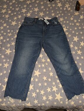 LOFT Blue Straight Leg Jeans with Raw Hem